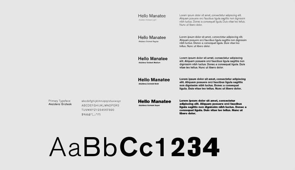 Hello Manatee: typeface treatment