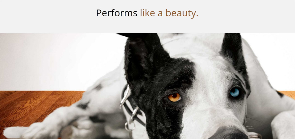 Pergo Website: Branding Image